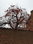 20200105_140030