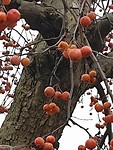 20200105_140039
