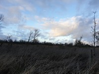 20200112_154636