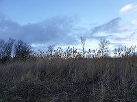 20200112_155013