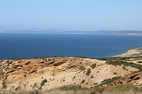 IMG_1505