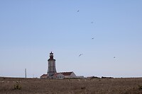 IMG_1509