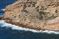 IMG_1525
