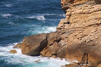 IMG_1530