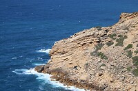 IMG_1542