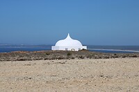 IMG_1551