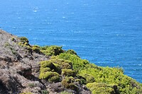 IMG_1563