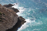 IMG_1567