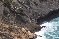 IMG_1571