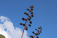 20210923172904_IMG_1635
