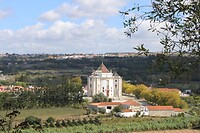 IMG_1981