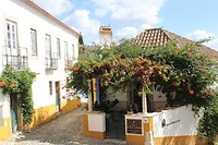 IMG_1989