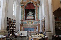 IMG_1991