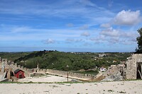 IMG_1999