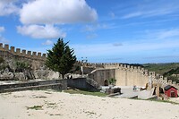 IMG_2000