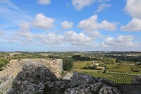 IMG_2007