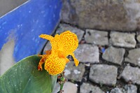 IMG_2040