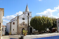 IMG_2041