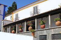 IMG_2045