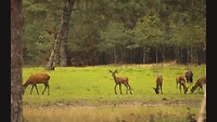 20211002 Veluwe