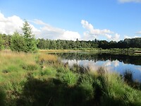Hier liepen we bijna elke avond met Amber naar toe