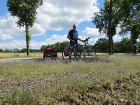 Poseren achter de zandblauwtjes