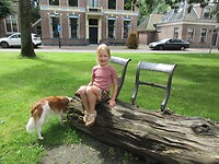 Bijzondere bank