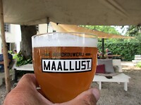 Bier bekijken