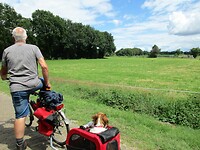 Onderweg kijken naar ooievaars