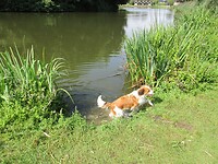 Even wat drinken en de pootjes koelen