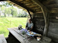 Mooie picknickplek