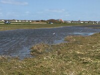 Natuurgebied de Zandpolder net buiten Callantsoog