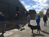 We worden door de broer van Gerard rondgeleid op zijn boerderij