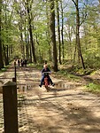 Bij Winterswijk fietsen we door een mooi stuk Nederland