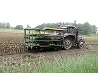 Poten van Selderij , in de wagen zitten 4 personen
