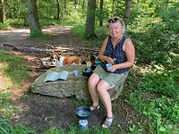 Picknick in de Vijlenerbossen