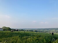 Bij de ochtend wandeling