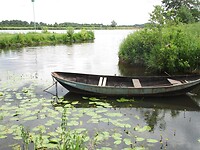 Stilleven langs de Maas