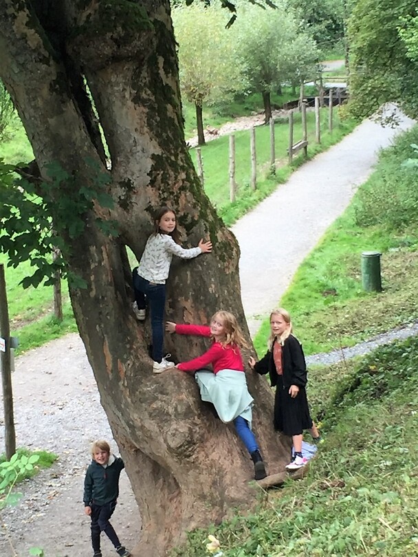In Warstein bezoeken we het Wildpark Bilsteintal