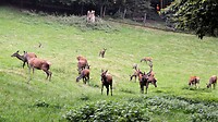 _DSC0124