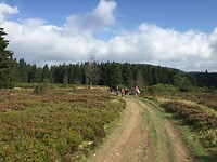 Mooie wandelpaden