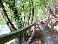 IMG_2119