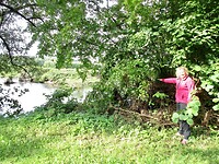 Zo hoog heeft de waterstand in juli gestaan