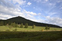 Bij Knüllfeld maken we een wandeling met uitzicht op de Großer Hermannsberg