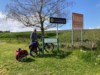 In de middag fietsen naar de champagnevelden