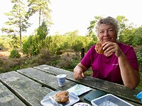 Lunch in het Ellertsveld