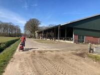Het lijkt wel zomer