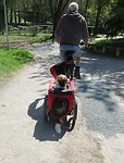Amber veegt de weg op de camping schoon