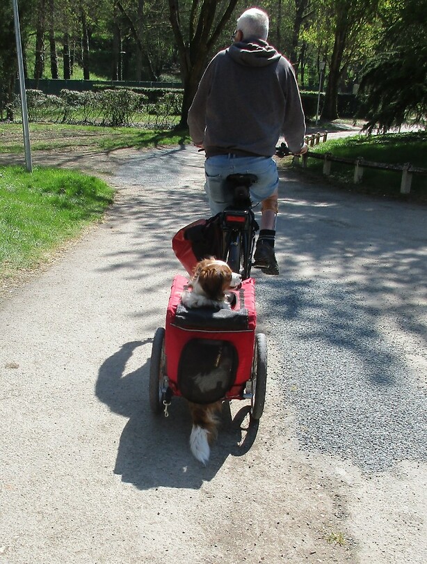 Amber veegt de weg op de camping schoon