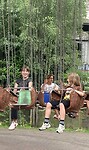 De swingmolen
